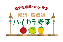 横浜馬車道ハイカラ野菜
