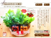 [プレスリリース]「横浜・馬車道ハイカラ野菜」ネット販売開始