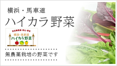 横浜・馬車道 ハイカラ野菜